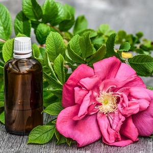 Benefits of Roses For Skin Care 
